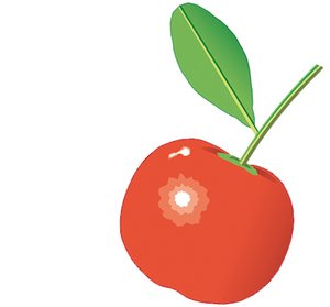 Stilelement Acerola-Kirsche